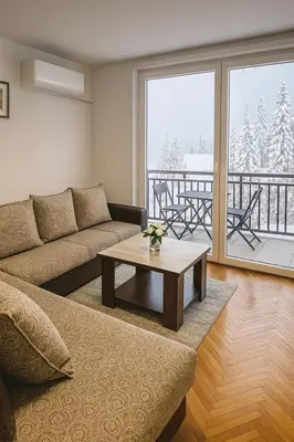 a living room with a couch and a table at Apartman Monti Vlašić in Vlasic