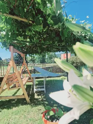 a playground with a bench and a swing at Kuca za odmor Šušnjar in Ripač