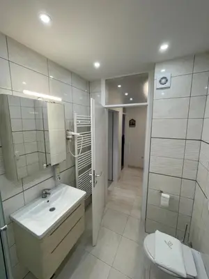a bathroom with a sink and a shower and a toilet at Prestige Apartment Teslic in Teslić