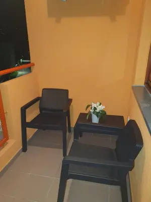 two chairs and a table with a potted plant on it at Apartman Basic Doboj in Doboj