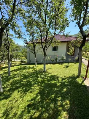 a house with a yard with trees in front of it at Villa Ramea in Kovačevo Polje