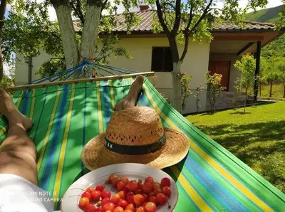 a person laying in a hammock with a bowl of tomatoes at Villa Ramea in Kovačevo Polje