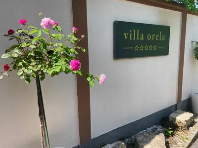 a plant in a vase next to a wall with a sign at Villa Orela Zenica in Zenica