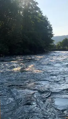 a river with trees on the side of it at BIG Apartment 3 Bedrooms in Bihać
