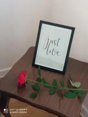 a table with a picture and a red rose on it at Mercy Deluxapartment in Visoko