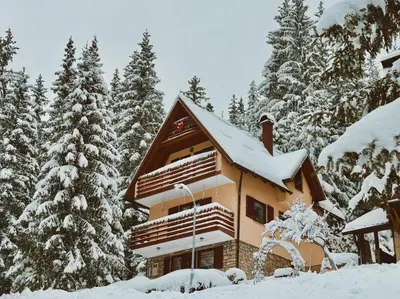 a house covered in snow in front of trees at Villa 