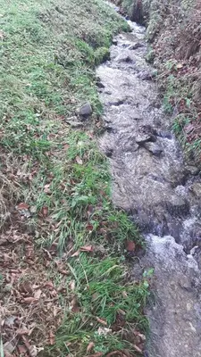 a stream of water in a field with grass at Villa Goleš Travnik in Travnik