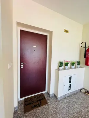 a brown door in a room with potted plants at Apartman Ana in Doboj