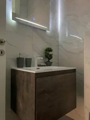 a bathroom with a sink with a potted plant on it at Ammirevole Ravne Apartments in Visoko