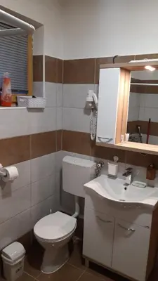 a bathroom with a toilet and a sink at Apartment and rooms