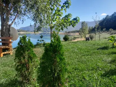 two trees in the grass next to a lake at ''Lake House Jana'' Ramsko Jezero in Prozor