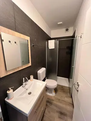 a bathroom with a sink and a toilet and a shower at Apartmani Gandi in Bihać