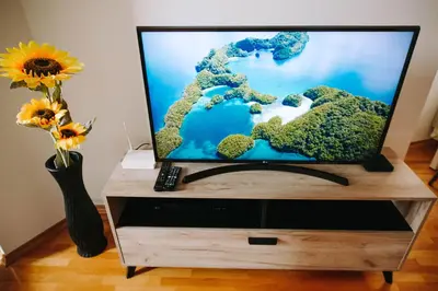 a flat screen tv on a stand with a vase of flowers at Apartman Oaza in Banja Luka