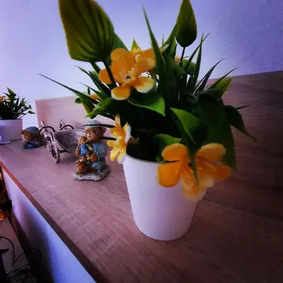 a white vase with yellow flowers on a table at Apartman Teddy12-Vlašić in Vlasic