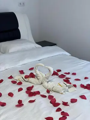two swans laying on a bed covered in rose petals at MOTEL ALADIN in Cazin