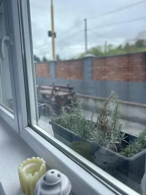 a window with potted plants sitting on a window sill at Apartmani Star in Tuzla