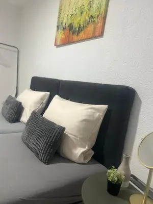 a couch with pillows and a painting on the wall at Apartmani Star in Tuzla