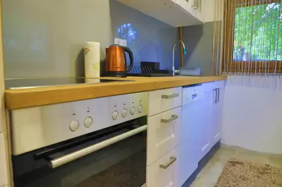 a kitchen with a stove and a counter top at Villa Lena in Bihać