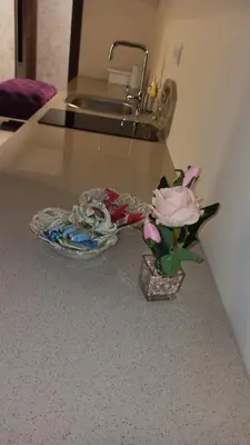 a glass counter top with a sink and a flower arrangement at Apartmani President IV in Banja Luka