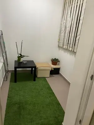 a hallway with a table and a green carpet at Apartment Host in Tuzla
