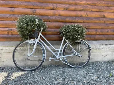 a bike parked next to a wooden wall with two plants on it at Bajka na dan two bedroom apartment in Bosanska Gradiška