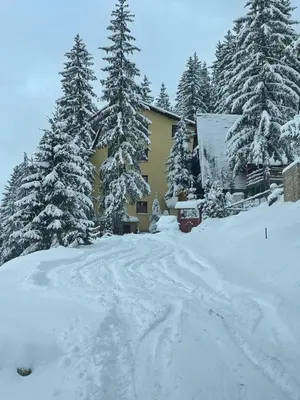 a house in the snow with snow covered trees at Sandy Vlašić in Vlasic