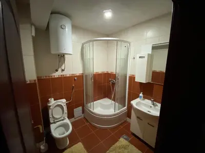 a bathroom with a shower and a toilet and a sink at Sandy Vlašić in Vlasic