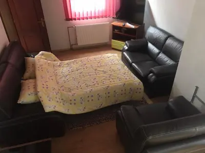 a living room with a couch and a bed at Sandy Vlašić in Vlasic