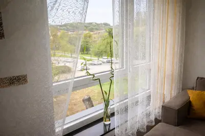 a window with a vase with a plant in it at Muki Park Lake in Tuzla