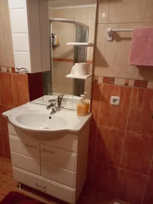 a bathroom with a sink and a shower with a mirror at Apartman Suzana in Kupres