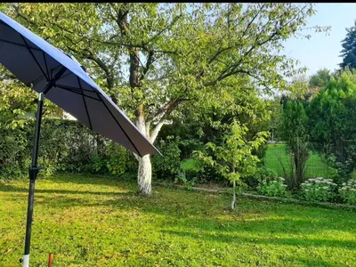 a black umbrella in a yard with a tree at Holiday Home Ravne in Visoko