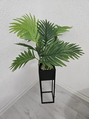 a green plant sitting on a black plant stand at Apartman Aladin in Bihać
