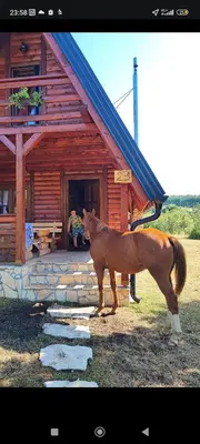 a horse standing in front of a log cabin at Ranč Crna stina in Livno