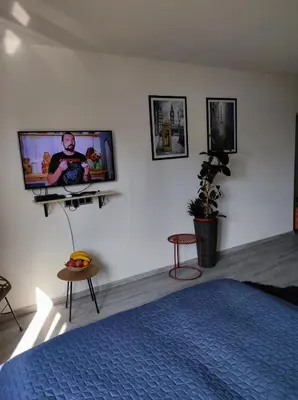 a bedroom with a bed and a tv on a wall at Cozy studio Cik-Cak in Doboj