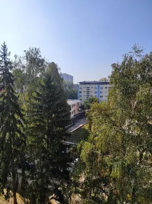 a group of trees in front of some buildings at Cozy studio Cik-Cak in Doboj