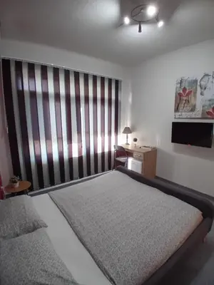 a bedroom with a large bed in a room at Pansion San in Bihać