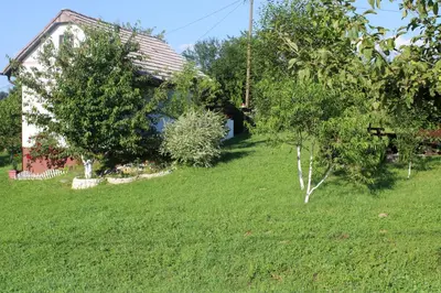 a house in a field with trees and a yard at Dreamhouse Bosnia in Visoko