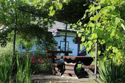 a wooden bench sitting under a pergola in a garden at Dreamhouse Bosnia in Visoko