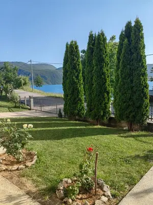 a yard with trees and a lawn with a flower at Apartman Bošnjak Ramsko jezero in Podbor