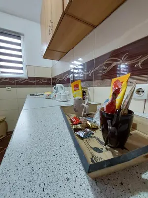 a kitchen with a counter top with a counter top at Apartment EM in Tuzla