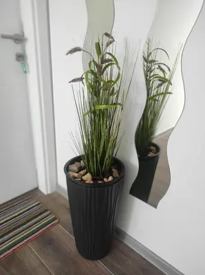 two plants in a black pot on a wall at Prenoćište Ljiljana 2 in Livno