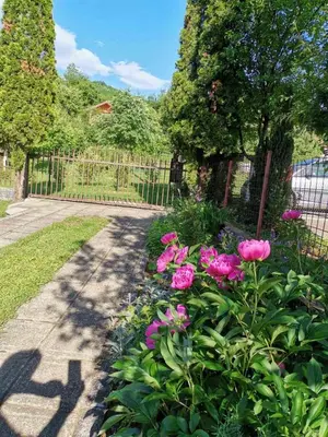 a garden with pink flowers and a fence at Relax house in Visoko