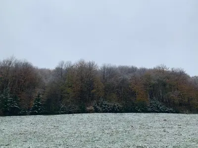 a snow covered field with trees in the background at Apartman Dujmović in Visoko