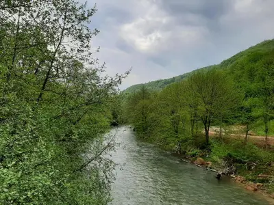 a river with trees on both sides of it at Apartman Dujmović in Visoko