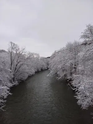 a river with snow covered trees on the sides at Apartman Dujmović in Visoko