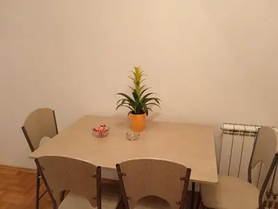 a dining room table with a potted plant on it at Apartment Lazarus Banja Luka in Banja Luka