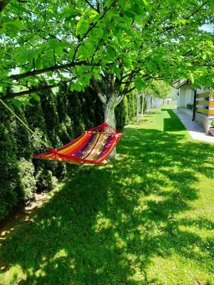 a colorful kite hanging from a tree in a yard at Lahor in Bihać