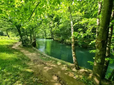 a river in the middle of a forest with trees at Villa Pampas in Banja Luka