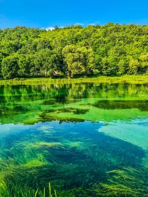 a large body of water with trees in the background at Daman Villa in Bihać