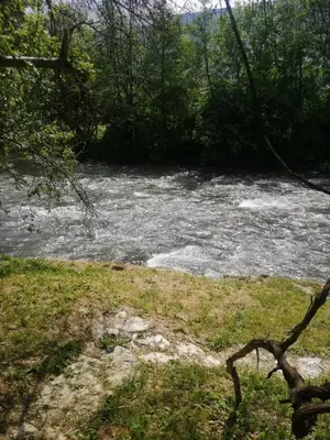 a river with rocks in the middle of a forest at Studio by the river in Jajce